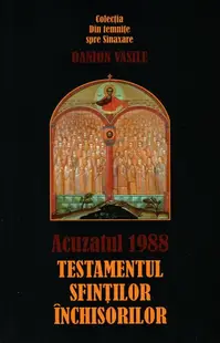 Acuzatul 1988 - Paperback brosat - Danion Vasile