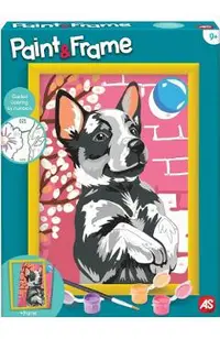 Pictura pe numere: Husky jucaus