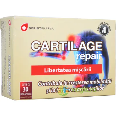Cartilage Repair 30cps