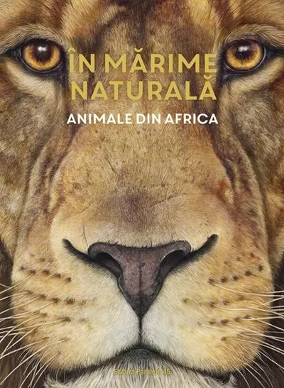 În mărime naturală. Animale din Africa - Hardcover