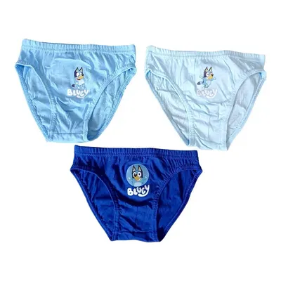 Set 3 perechi chiloți băieți, albastru, 100% bumbac, Happy, Bluey