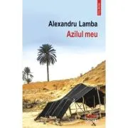 Azilul meu