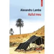 Azilul meu