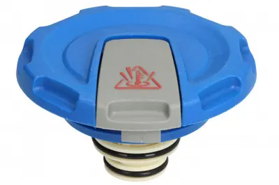 Buson vas expansiune (1,6bar) potrivit AUDI A4 B9, A5, A6 C8, A7, A8 D5, Q5, Q7, Q8; VW TOUAREG 1.4-4.0H 01.15