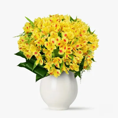 Buchet de 35 alstroemeria galbene