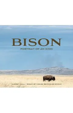 Bison: Portrait of an Icon