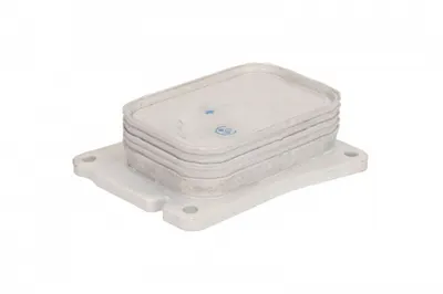Termoflot radiator ulei (64x27x96) MERCEDES Clasa C (CL203), C T-MODEL (S203), C T-MODEL (S204), C (W203), C (W204), CLC (CL203), CLK (A209), CLK (C209), E T-MODEL (S211), E (W211), E (W212) 1.6-1.8LP