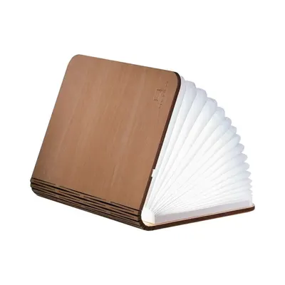 Decorațiune luminoasă în culoare naturală cu USB Booklight – Gingko