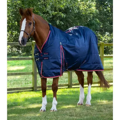 Căptușeală exterioară Premier Equine Buster Hardy 100 g