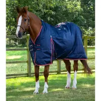 Căptușeală exterioară Premier Equine Buster Hardy 100 g