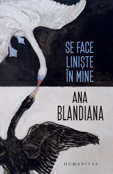 Se face liniște în mine - Paperback brosat