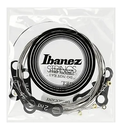 Corzi de chitară electrică Ibanez - IEGS61, 10-46, argintiu