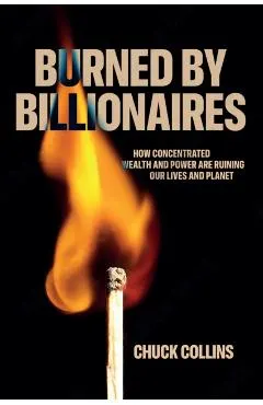 Burned by Billionaires: How Concentrated Wealth and Power Are Ruining Our Lives and Planet