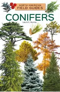 Conifers