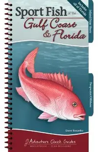 Sport Fish of the Gulf Coast & Florida: Your Way to Easily Identify Sport Fish