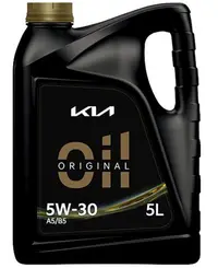 Ulei motor KIA 5W30 A5 B5 5L