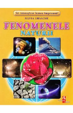 Fenomenele Naturii - Cartonase