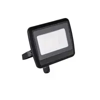 Proiector Led Antem Led Antem Led 30w-Nw B