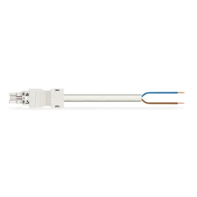 pre-assembled connecting cable; Eca; Socket/open-ended; 2-pole; Cod. A; H05Z1Z1-F 2 x 2.5 mm²; 8 m; 2,50 mm²; white