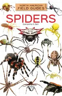 Spiders