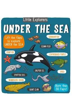 Little Explorers: Under the Sea