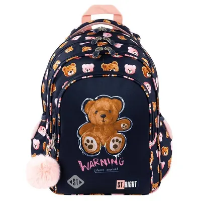 Ghiozdan cu 4 compartimente, St Majewski, St.Right Teddy Bear, 40 x 28 x 18 cm