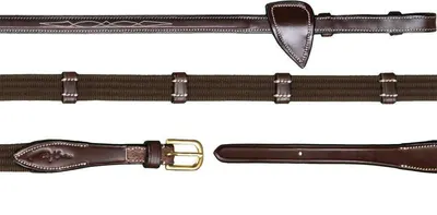 Dy'on 5/8 Web Reins With 9 Leather Loops Bruin
