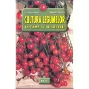 Cultura legumelor in camp si in solarii