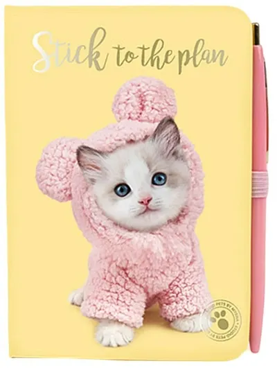 Animale de companie Studio - Mousy