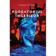 Purgatoriul ingerilor