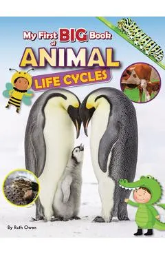 My First Big Book of Animal Life Cycles
