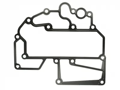 Garnitura Radiator Ulei Potrivit Man Foc, Hocl, Lion S City, Lion S Coach, Lion S Regio, Nd, Ng, Nl, Sl Ii, Su, Tga, Tgm Ii, Tgs I, Tgs Ii, Tgx I, Tgx Ii D2066lf01-D2676loh48 10.98