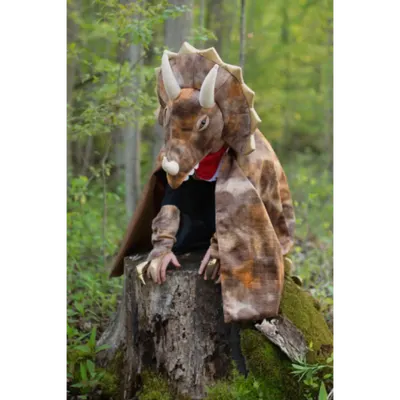 Costum dinozaur triceratops 2 piese 4-6 ani