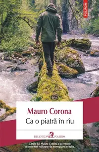 Ca o piatră în rîu - Paperback brosat - Mauro Corona