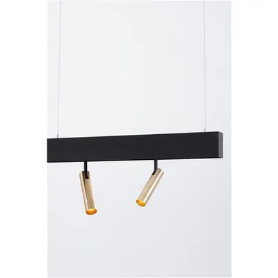 Sistem iluminat pe sina BUXTON MAGNETIC Satin Brass and Negru Aluminiu Adjustable LED 10 Wat DC24V 680Lm 3000k IP20
