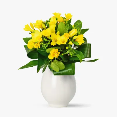 Buchet de 25 frezii galbene