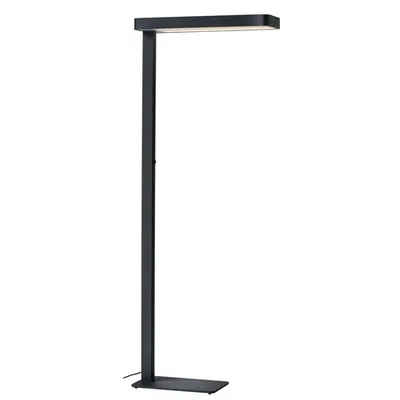 Lampa pla, Worklight lampi Podea, antracit pla cu LED-uri de interior antracit 4000K lumina