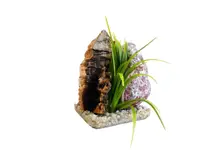 Sydeco Decor Oasis Zebra 12 cm 316193