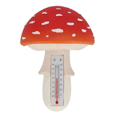Termometru de exterior din polirășină – Esschert Design