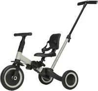 Tricicletă pentru copii 3 в 1 Zopa - Razor, Boss Grey