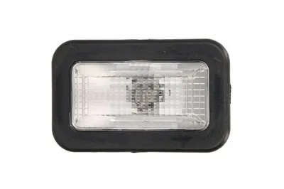 Lampa de pozitie Dreapta Stanga (alb, scara cabina) potrivit MERCEDES ACTROS MP4 MP5 07.11