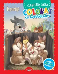 Cartea mea de colorat cu autocolante. Lipeste si coloreaza!