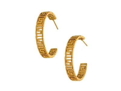 Cercei ALDO aurii, GEOHOOP 710, din metal