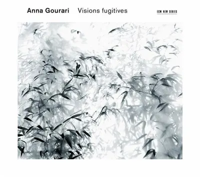 Visions Fugitives