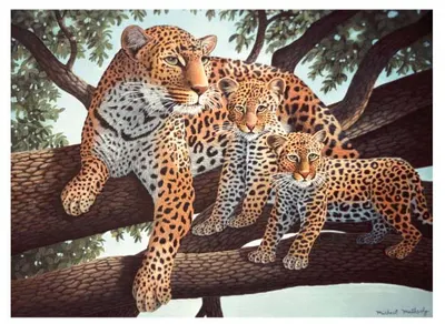 Set de pictură cu vopsele acrilice Royal - Leoparzi, 39 x 30 cm