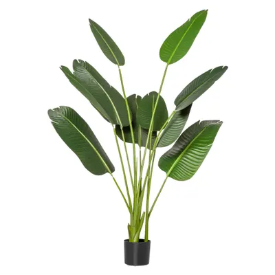 HOMCOM Bananier Artificial 160 cm cu Ghiveci și 10 Frunze Realiste, Plantă Artificială Tropicală pentru Decorațiuni Interioare și Exterioare, Verde | Aosom Romania