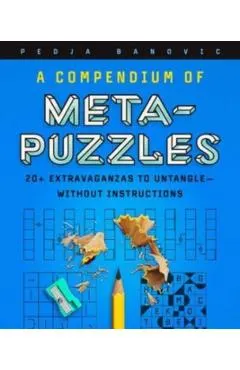 Compendium of Meta-Puzzles