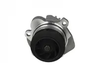 Pompa Apa Audi A3, A4, A6; Chrysler Sebring; Dodge Avenger, Caliber, Journey; Jeep Compass, Patriot; Mitsubishi Grandis, Lancer Viii, Outlander Ii; Seat Altea, Altea Xl, Ibiza Iii 1.9d 2.0d Dupa 2000
