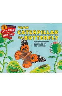 From Caterpillar to Butterfly