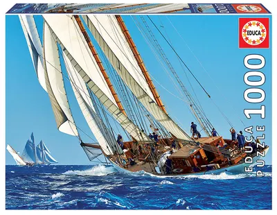 Puzzle cu 1000 de piese
